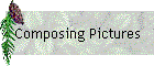 Composing Pictures