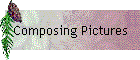 Composing Pictures