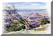 Watercolor Painting of Grand Canyon, Arizona USA